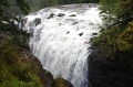 Vancouver Island 'Englishman River Falls Park' 27_09_2011 (44)